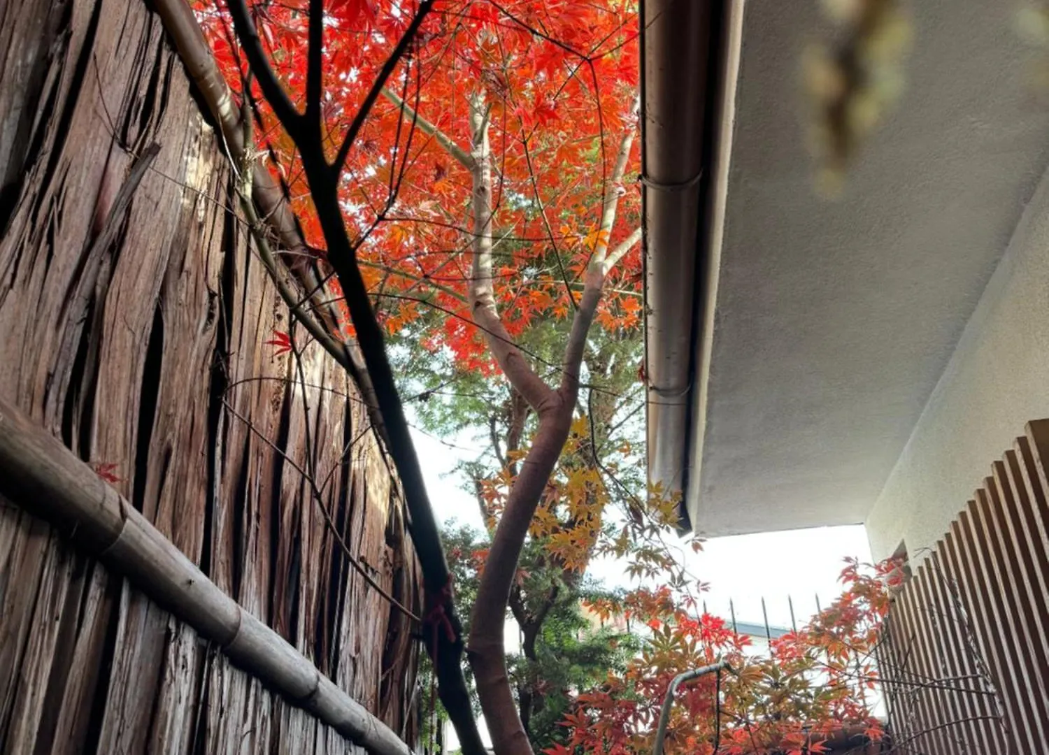 Villa 京町家-椿庵kyomachiya-Tsubakian Kyōto 0*,  Japan